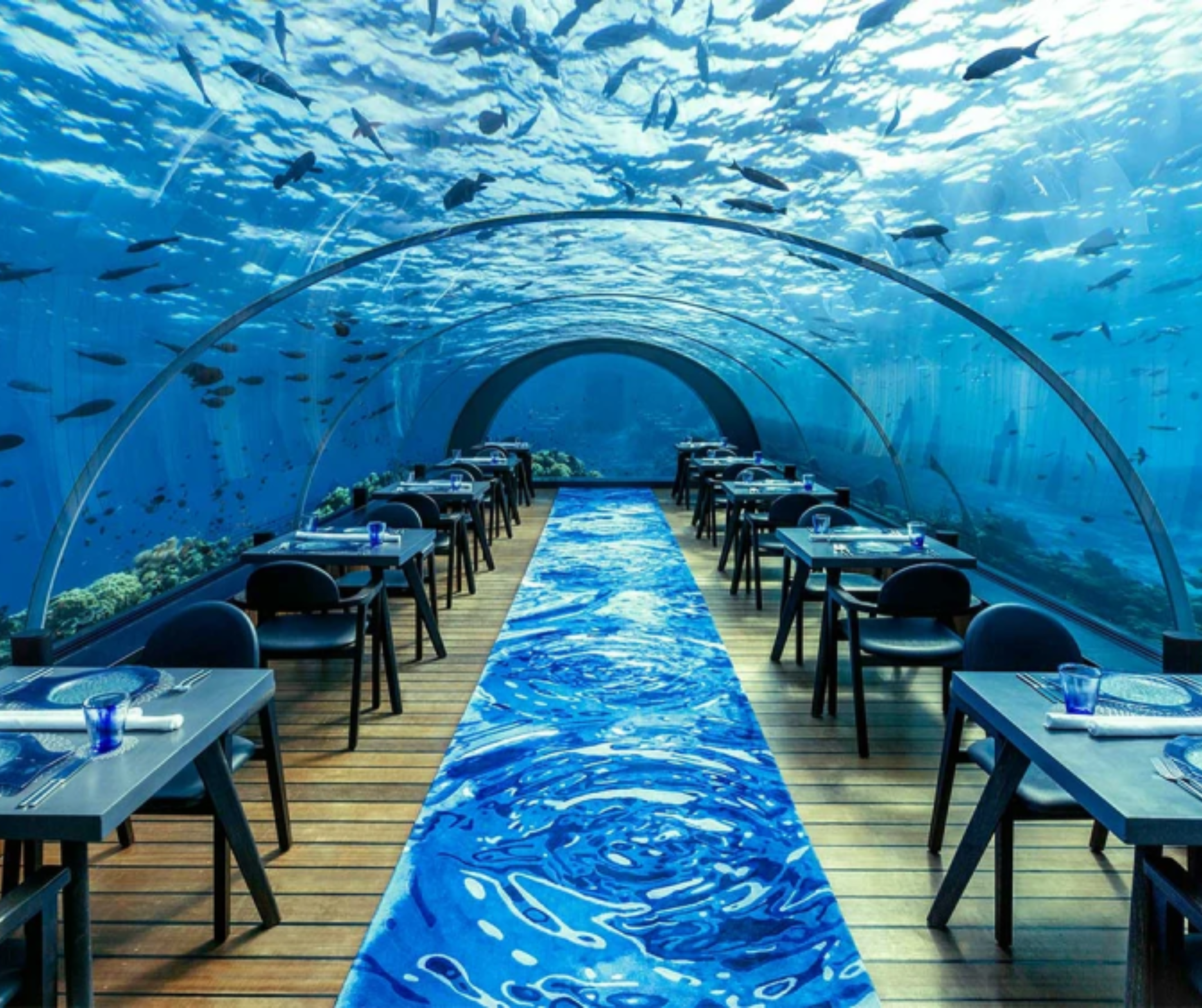 Ithaa Undersea Maldives